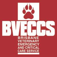 Brisbane Veterinary Emergency & Critical Care Services image 1
